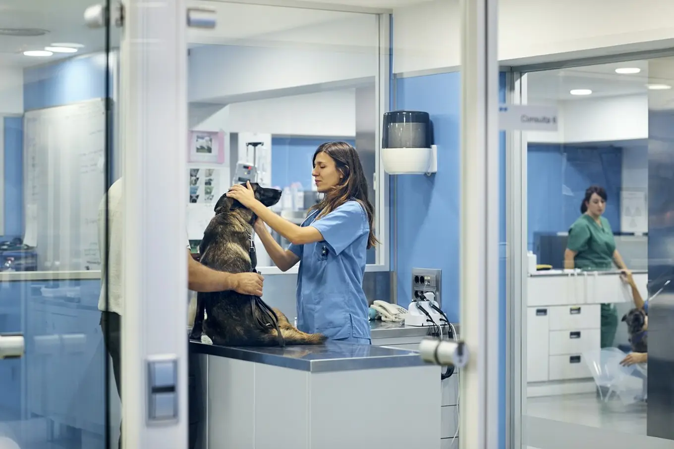 lekarz badający psa w szpitalu